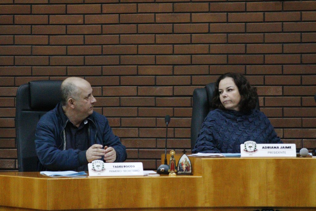 RESUMO DA SESSÃO ORDINÁRIA DA CÂMARA MUNICIPAL DE JANDAIA DO SUL