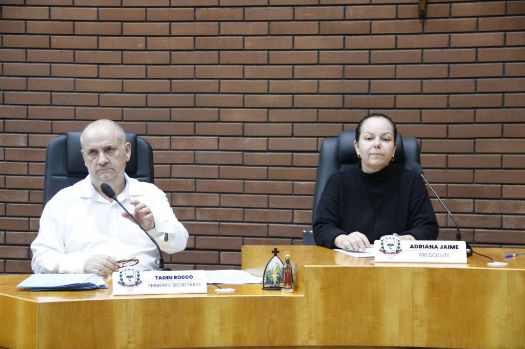 RESUMO DA SESSÃO ORDINÁRIA DA CÂMARA MUNICIPAL DE JANDAIA DO SUL