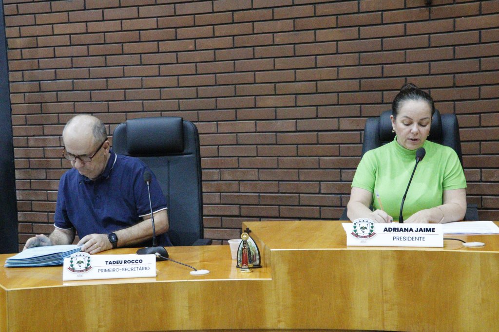 RESUMO DA SESSÃO ORDINÁRIA DA CÂMARA MUNICIPAL DE JANDAIA DO SUL